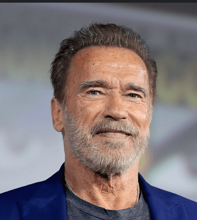 arnold-schwarz profile