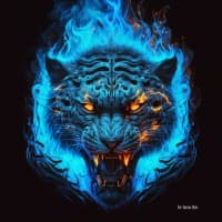 ahmed-saleh-muntasir profile