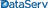 Dataserv, Llc