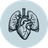 Nervous System Mastery