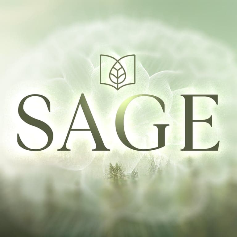 wellnessnook profile