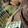 Ashwin Raju