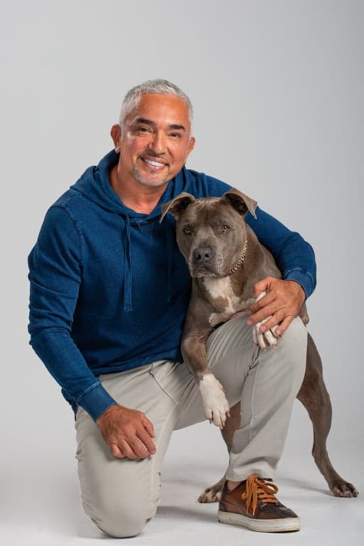 cesar-millan profile
