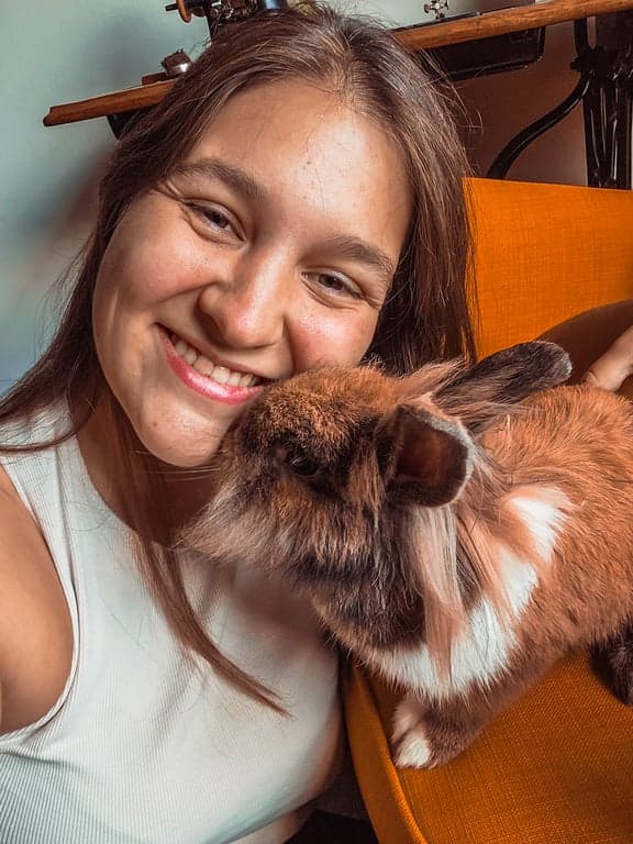 kontent-konijn profile