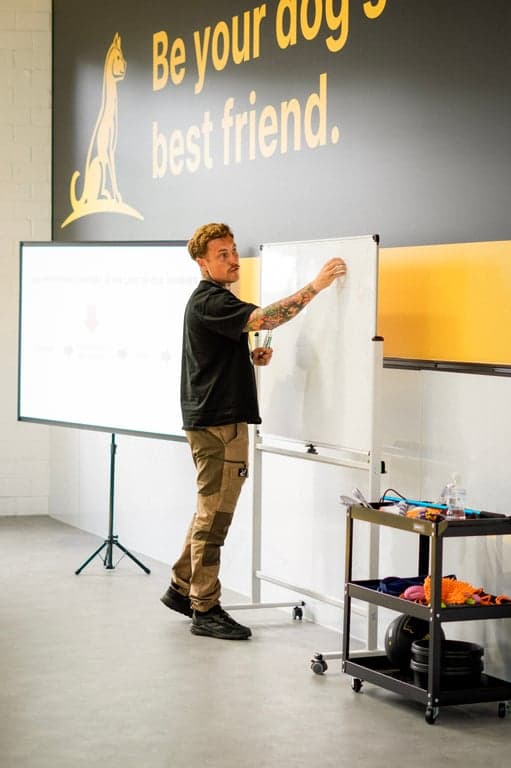 jacob-morgan profile