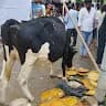 Bhoomanna Bachu