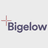 Bigelow LLC