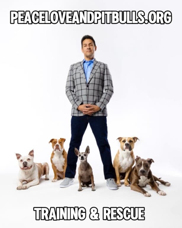 anthony-celestino-sanchez profile