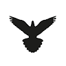 Black Bird