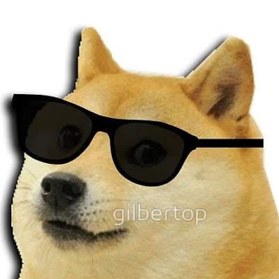 shrey-shingala profile