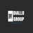 The Diallo Group