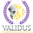 Validus Coaching @ Consulting