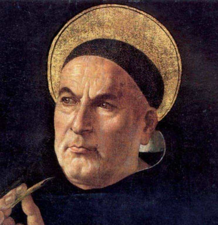 thomas-acquinas profile