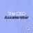 The Ceo Accelerator