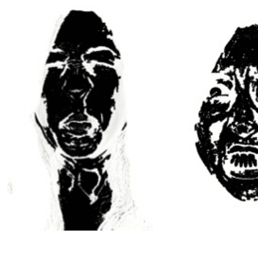 thais-blumenthal profile