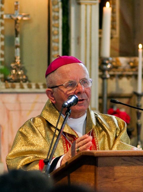 cardinal-sigitas profile