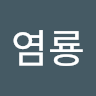 흑염룡