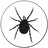 My Lyme Doc