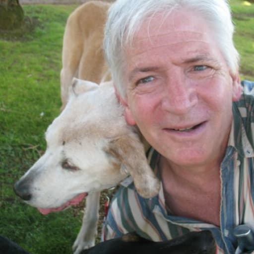 Steven Chiechi