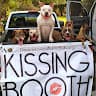 peaceloveandpitbulls