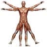 Institute of Human Anatomy