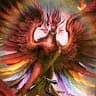 Phoenix Rising