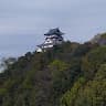 図南の翼農園西村