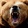 Mama Grizzly