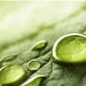 Niha Nature Soothing videos